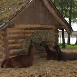 Отель Park Lesny 'u Kaczyny' Rogow