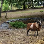 Отель Park Lesny 'u Kaczyny' *
