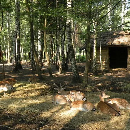 Park Lesny 'u Kaczyny' *