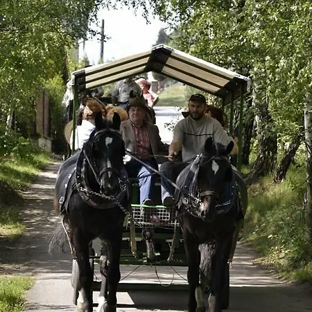 Park Lesny 'u Kaczyny' Rogow