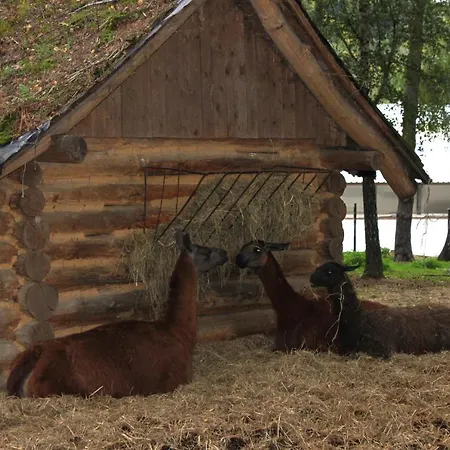 Hotel Park Lesny 'u Kaczyny' Rogow