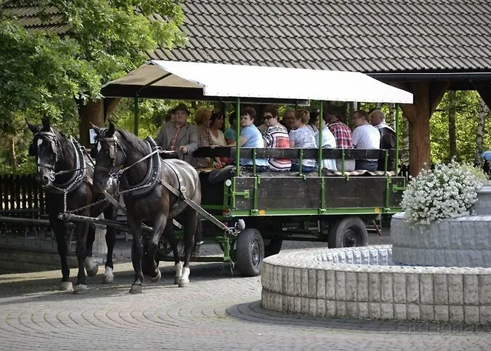 Hotel Park Lesny 'u Kaczyny'