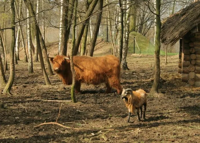 Hotel Park Lesny 'u Kaczyny' *