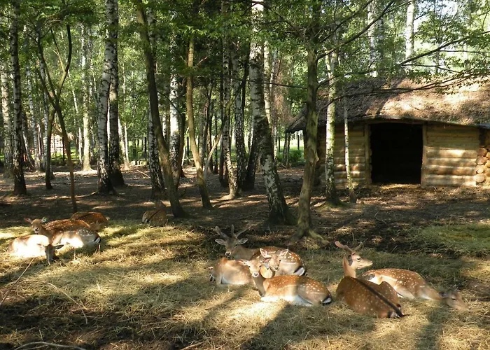 Park Lesny 'u Kaczyny' *