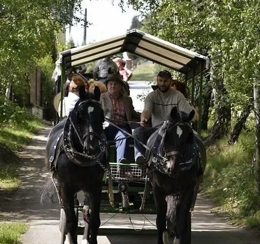 Park Lesny 'u Kaczyny' Rogow