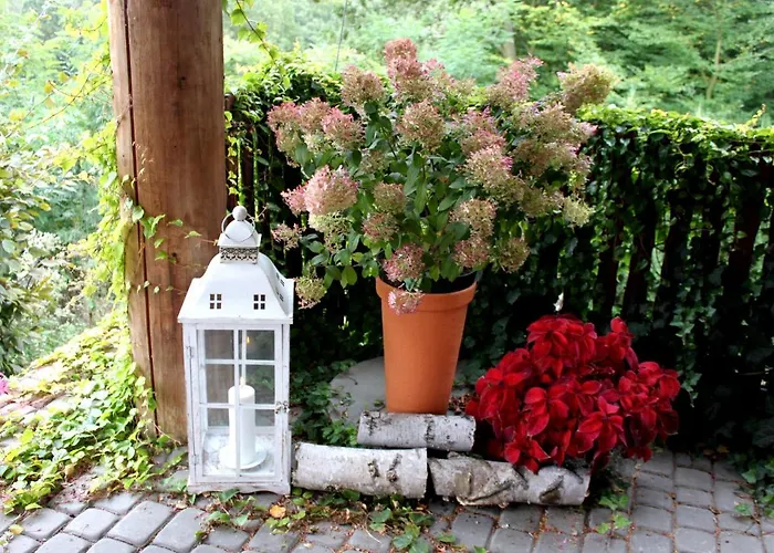 Park Lesny 'u Kaczyny'