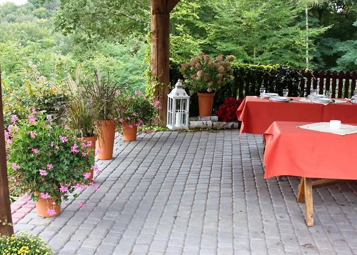 Park Lesny 'u Kaczyny' Rogow