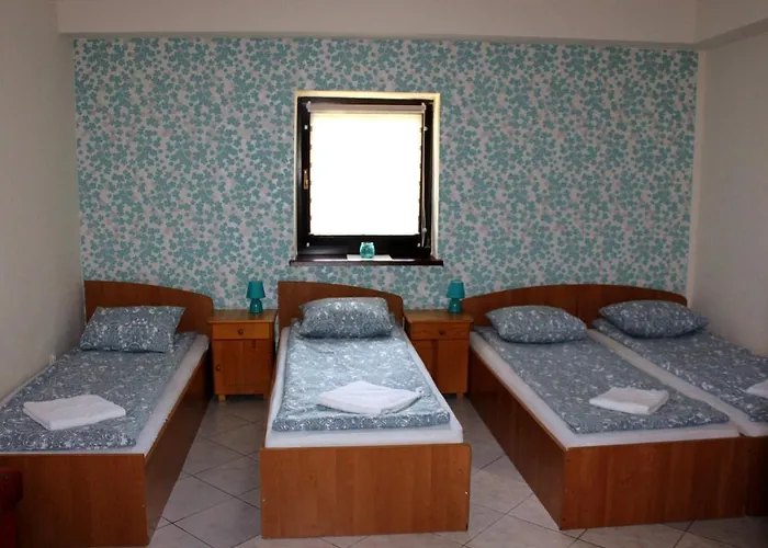 Park Lesny 'u Kaczyny' * Rogow