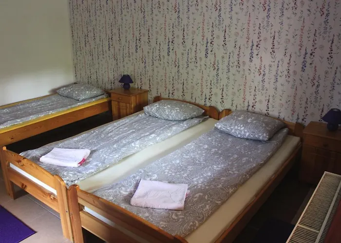 Hotel Park Lesny 'u Kaczyny' Rogow