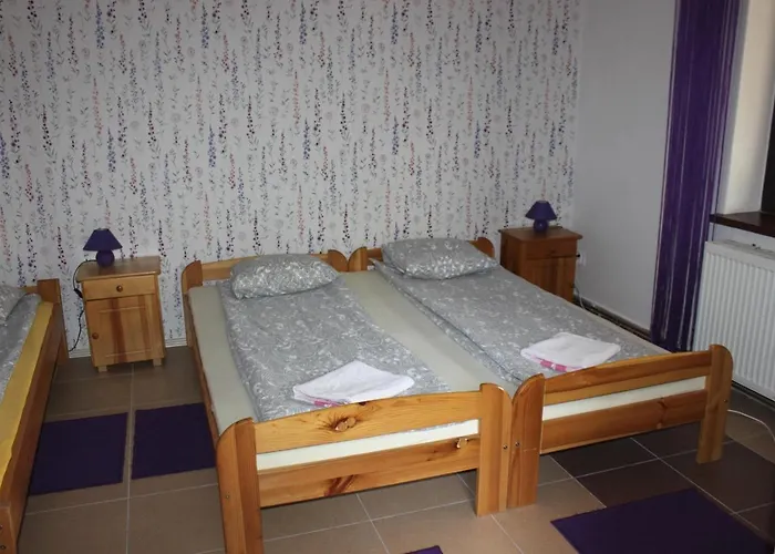 Park Lesny 'u Kaczyny' *