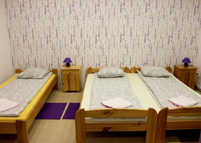 Park Lesny 'u Kaczyny' Hotel *