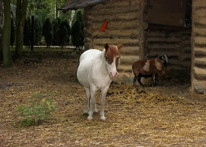 Hotel Park Lesny 'u Kaczyny' Rogow